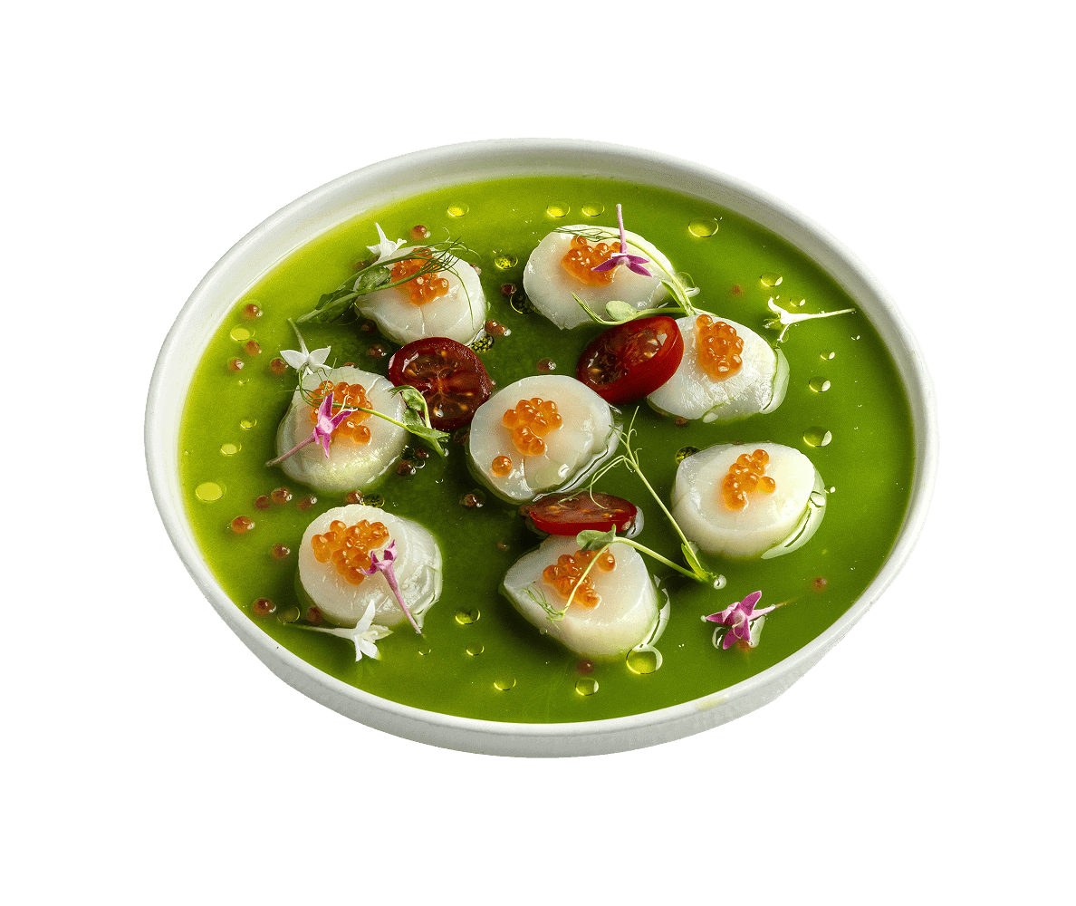 Hotate green chevice (4 db)