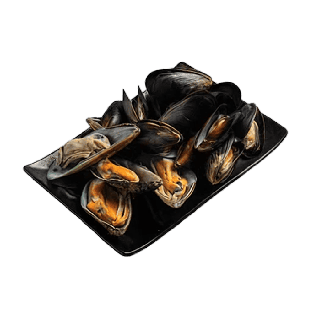 Zöld és fekete kagyló